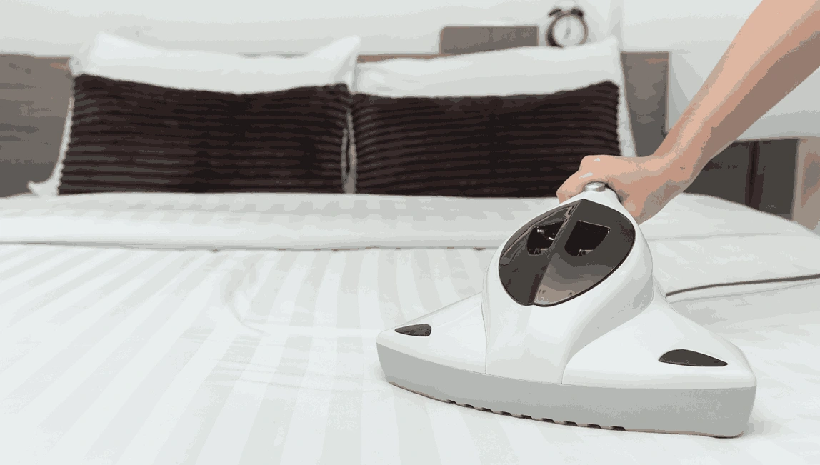 Professional Mattress Cleaning Dendy